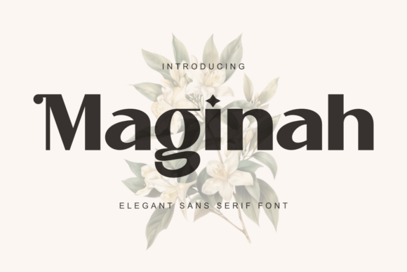Maginah: A Elegant Sans Serif for Web Design