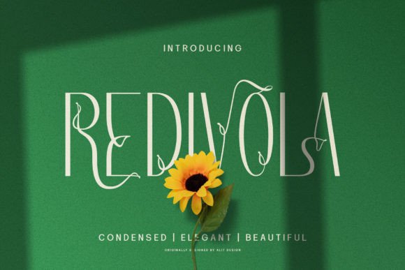 Redivola: Elegant Sans Serif for Campaigns