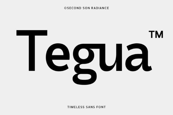 Tegua: A Modern Sans Serif for Campaigns